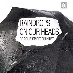 CD Raindrops On Our Heads